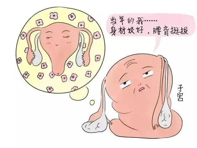微信图片_20230302143744.jpg